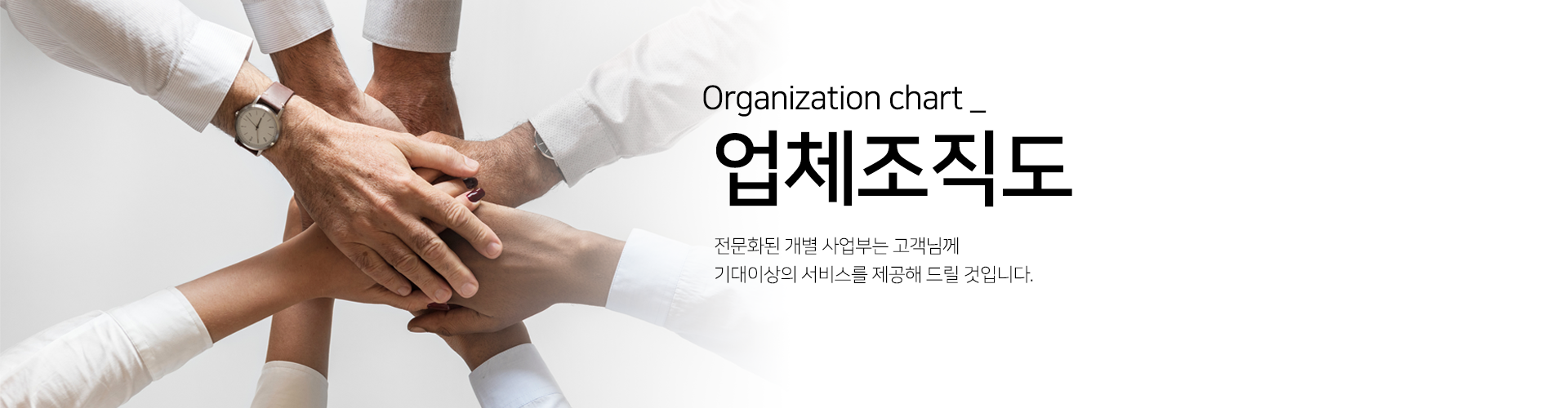 업체조직도