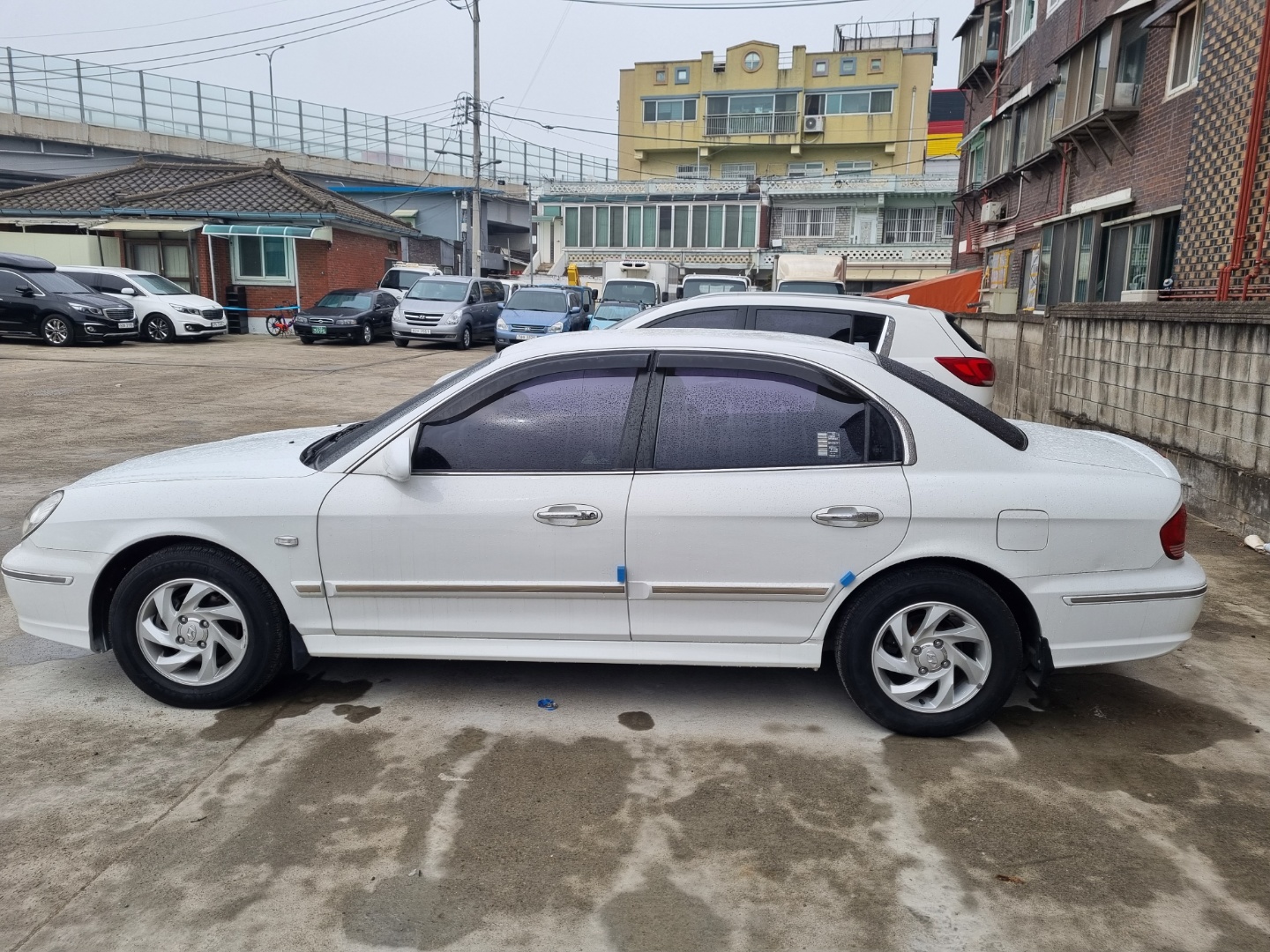 8fzncjoa22l.jpg