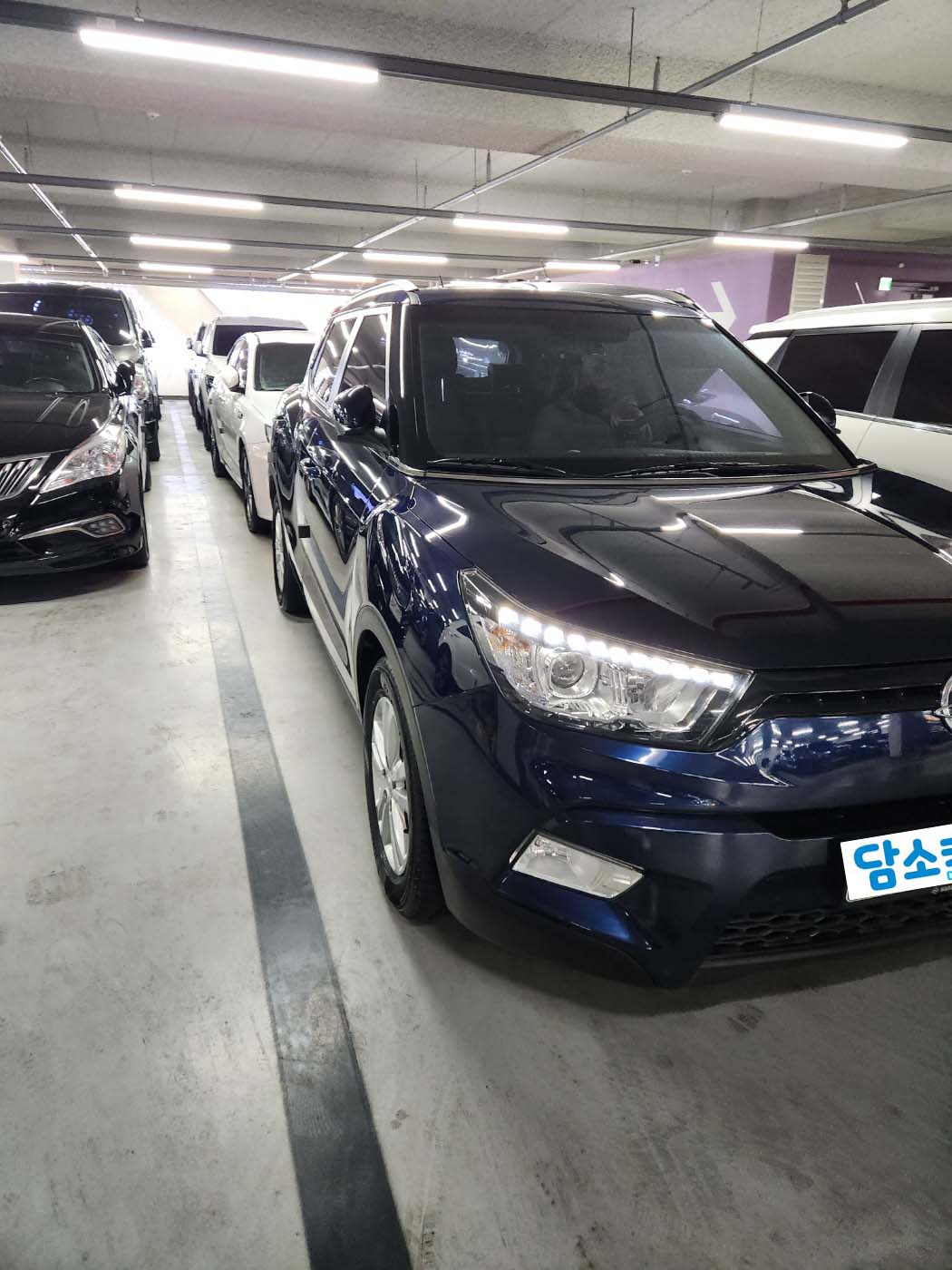 49k8it2yrcrn.jpg