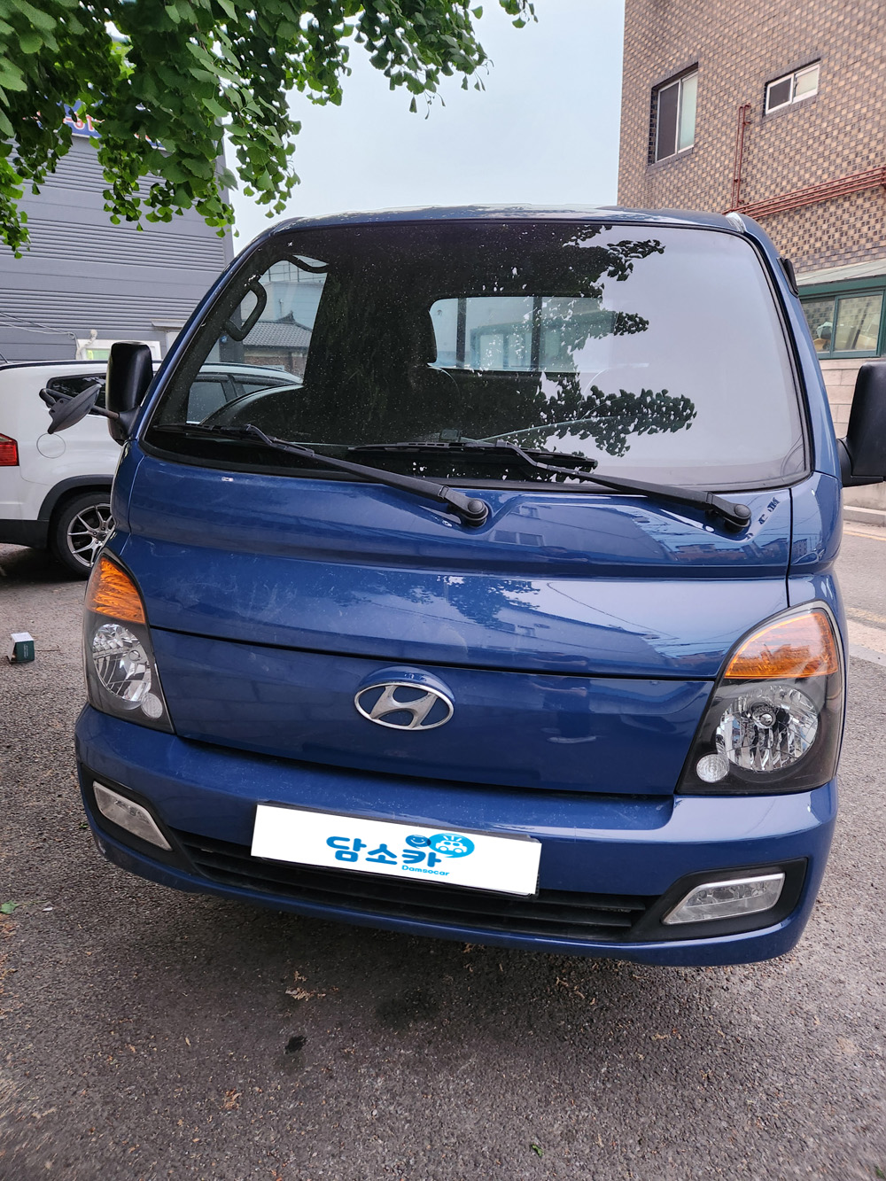 4y6xnnjac2nl781646.jpg