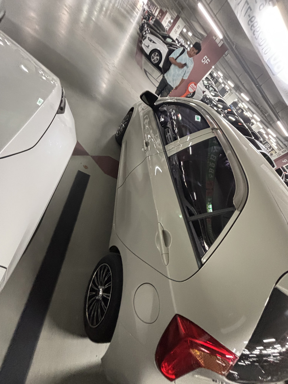 3cmqv51xvzsx538464.jpg